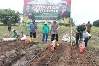 Kapolres Metro Tangerang Realisasi Asta Cita Presiden Prabowo, Penanaman 1 Hektare Jagung