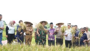 Dandim 0510/Tigaraksa Bersama Muspika Panen Raya: Perkuat Pangan, Petani Semakin Mandiri Dandim 0510/Tigaraksa Bersama Muspika Panen Raya: Perkuat Pangan, Petani Semakin Mandiri