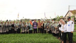 Bupati Tangerang Apresiasi Teknologi Insinerator Tanpa Asap di Desa Mekar Jaya Sepatan Bupati Tangerang Apresiasi Teknologi Insinerator Tanpa Asap di Desa Mekar Jaya Sepatan