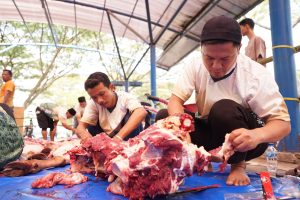 Rayakan Idul Adha Dengan Berbagi, PLN Indonesia Power UBP Lontar Bagikan Hewan KurbanKepada Masyarakat Ring 1 Rayakan Idul Adha Dengan Berbagi, PLN Indonesia Power UBP Lontar Bagikan Hewan KurbanKepada Masyarakat Ring 1