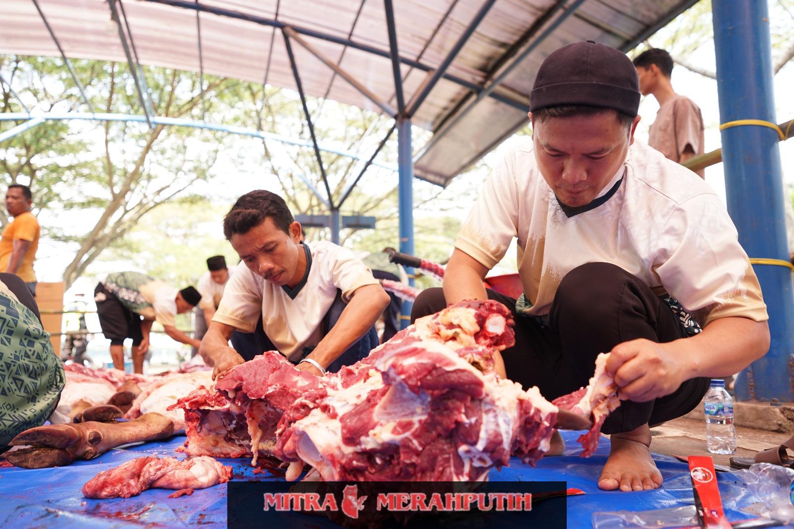 Rayakan Idul Adha Dengan Berbagi, PLN Indonesia Power UBP Lontar Bagikan Hewan KurbanKepada Masyarakat Ring 1