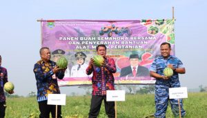 Panen Semangka Bersama, Bupati Tangerang Serahkan Alat Mesin Pertanian