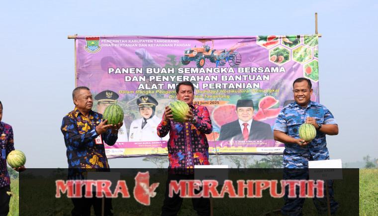Panen Semangka Bersama, Bupati Tangerang Serahkan Alat Mesin Pertanian