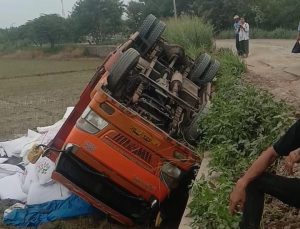 Jalan Kali Cirarab -Sukadiri Rusak Parah Truk Bermuatan Pakan Ternak Terguling