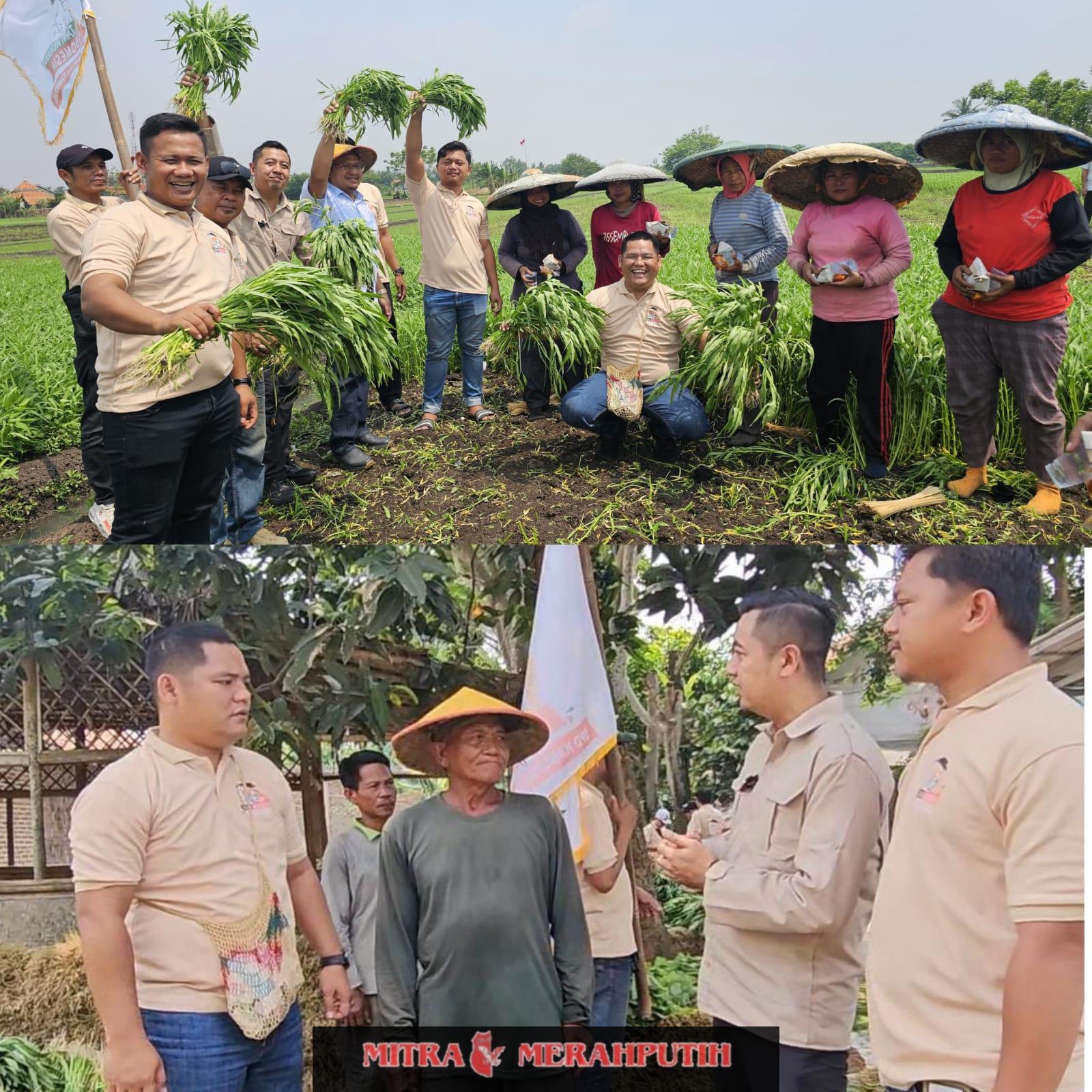 DPD Tani Merdeka Indonesia Kabupaten Tangerang Laksanakan giat Sosial Berbagi Nasi Bungkus Untuk Petani‎‎‎