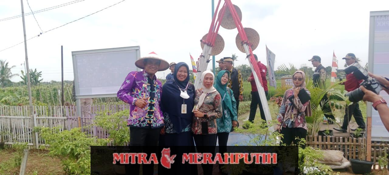 TP PKK Kabupaten Tangerang Gelar Binwil Di Desa Mekar jaya Se Kecamatan Sepatan
