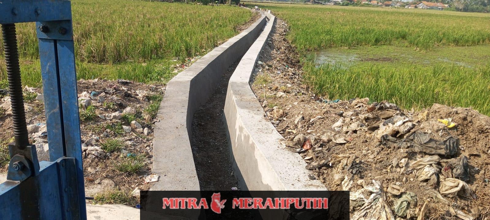 Kades Tanjung Anom Pertanyakan Proyek P3A Mitra Cai Marga Mulya