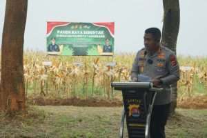Dukung Asta Cita Presiden, Kapolresta Tangerang Panen Jagung Serentak Program Ketahanan Pangan