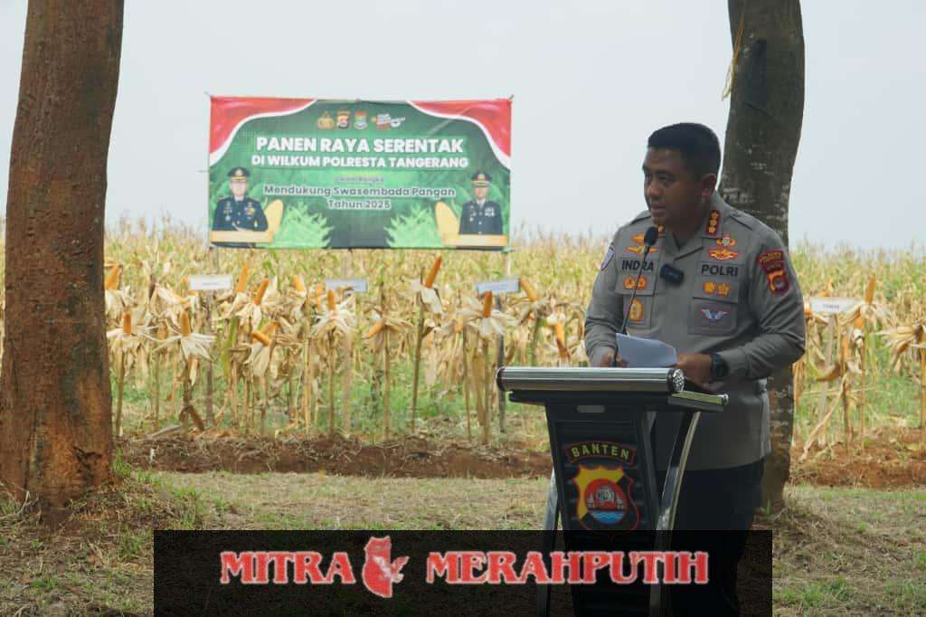 Dukung Asta Cita Presiden, Kapolresta Tangerang Panen Jagung Serentak Program Ketahanan Pangan
