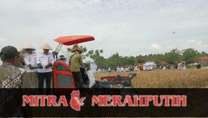 Dorong Produktivitas Pertanian, Babinsa Hadiri GNPIP 2025 Provinsi Banten