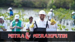 PLN Indonesia Power UBP Banten 3 Lontar Bersama Wakil Presiden RI Dukung Aksi Perlindungan dan Pengelolaan Ekosistem Mangrove Menuju Net Zero Emission 2060