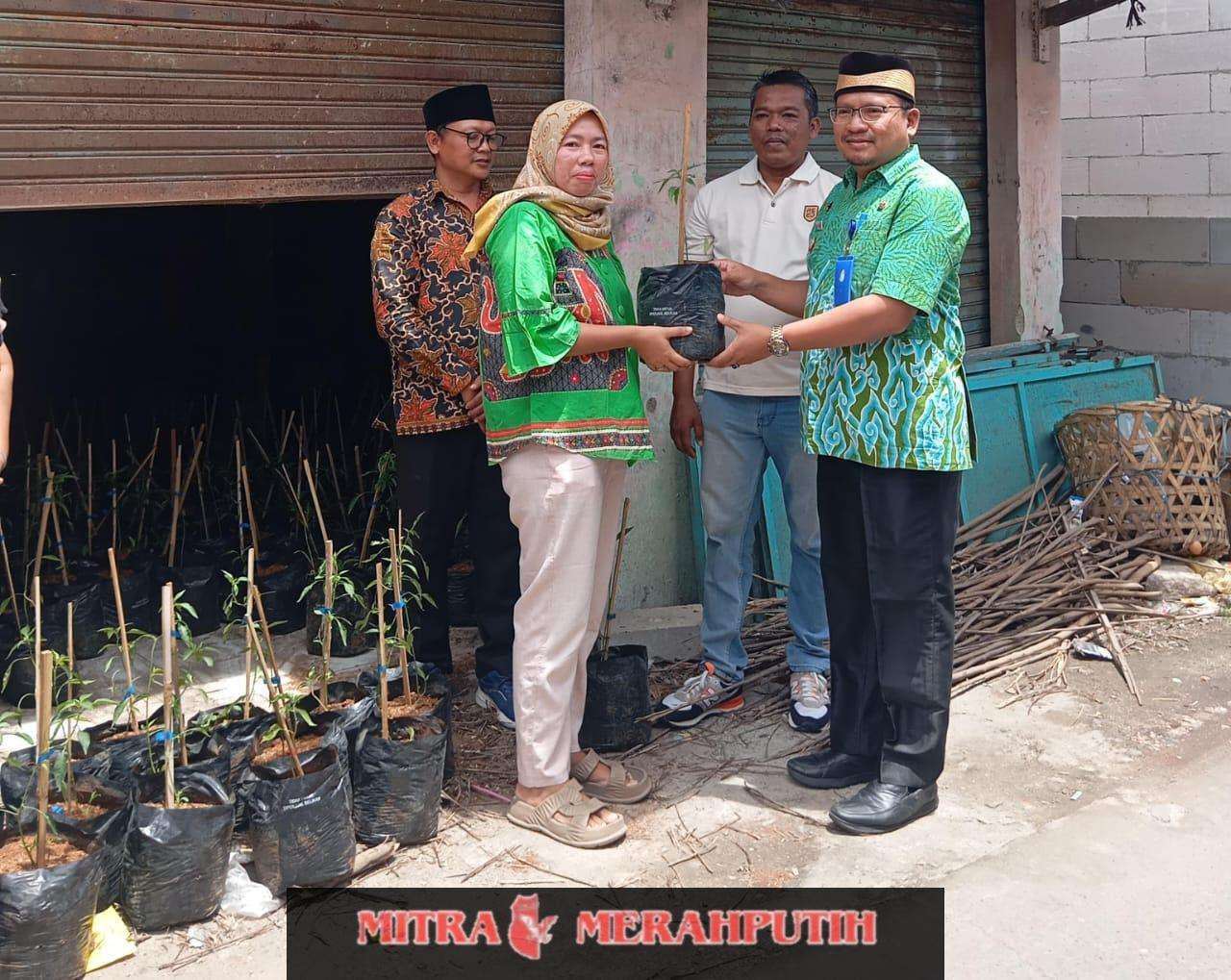Kurangi Inflasi Harga Cabai Camat Sepatan Timur, Ketua KTNA Dan Korcam PKH Berikan Bantuan Bibit Pohon Cabai Ke KPM PKH