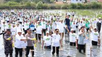 Bupati Tangerang Dampingi Wapres RI Gibran Rakabuming Raka Tanam Mangrove Bupati Tangerang Dampingi Wapres RI Gibran Rakabuming Raka Tanam Mangrove