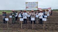 Ketahanan Pangan, Sinergi Babinsa dan BUMDes Tanam Jagung Perdana