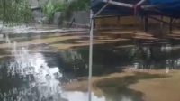 Banjir Campur Oli di Cisereh Tigaraksa Bikin Warga Cemas, Air Terkontaminasi Masuk Permukiman Banjir Campur Oli di Cisereh Tigaraksa Bikin Warga Cemas, Air Terkontaminasi Masuk Permukiman