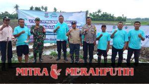 Pemdes Kayu Bongkok Dukung BUMDes Mandiri Kayu Bongkok Tanam Benih Jagung Pemdes Kayu Bongkok Dukung BUMDes Mandiri Kayu Bongkok Tanam Benih Jagung