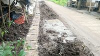 Aktivis Soroti Proyek Yudit Di Desa Daon Tak Ada Papan KIP