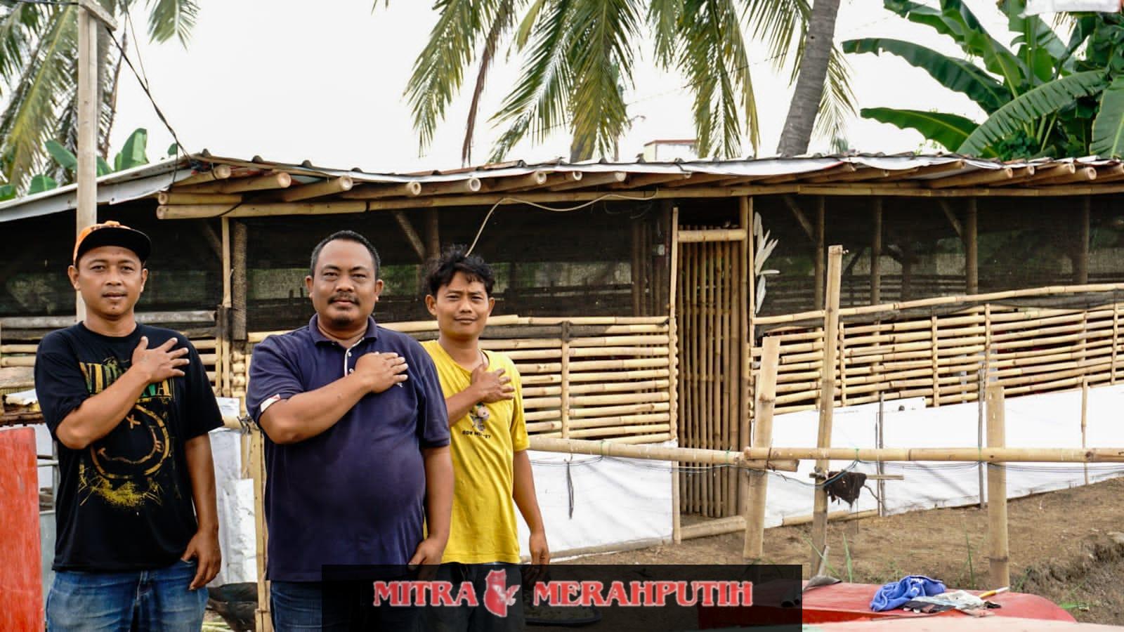 Poliran Polda Banten, Aiptu Syafei Berdayakan Pemuda Lewat Ternak Bebek Poliran Polda Banten, Aiptu Syafei Berdayakan Pemuda Lewat Ternak Bebek