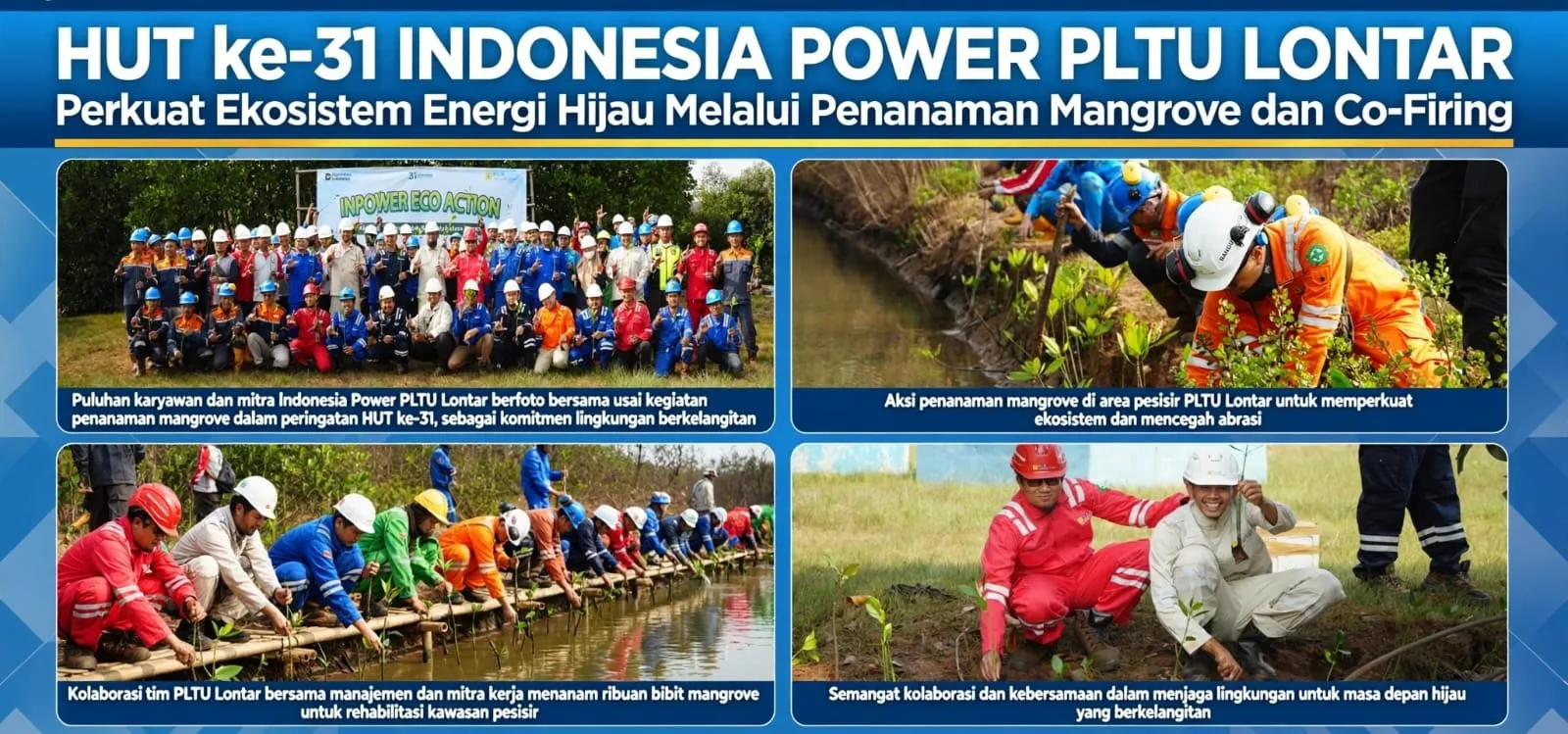 Rangkaian HUT Ke -31 Indonesia Power, PLTU Lontar Perkuat Ekosistem Energi Hijau Melalui Penanaman Manggrove Dan CO-FIRING Rangkaian HUT Ke -31 Indonesia Power, PLTU Lontar Perkuat Ekosistem Energi Hijau Melalui Penanaman Manggrove Dan CO-FIRING